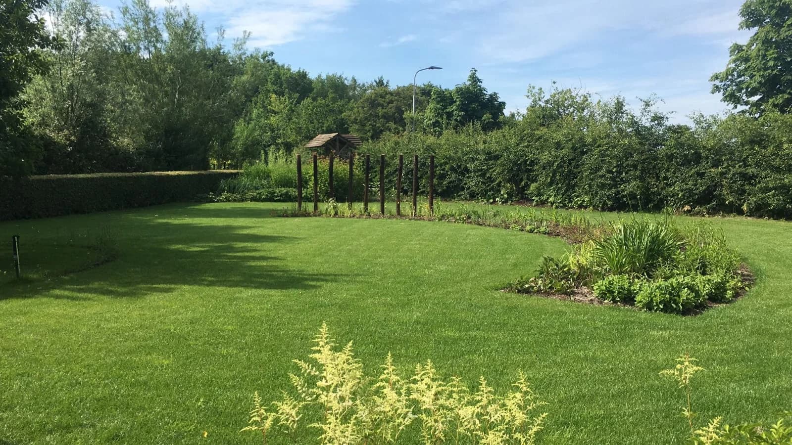 Ruim, egaal gazon met gebogen borders en een houten prieel in een zomerse tuin