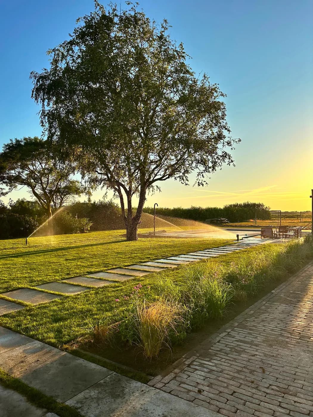 Vers aangelegd gazon met sproeiers in bedrijf bij zonsondergang
