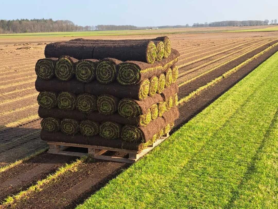 Pallet met verse graszodenrollen op het teeltveld, naast de gesneden banen