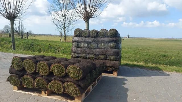 Twee pallets verse graszoden klaar voor transport, met de molen op de achtergrond